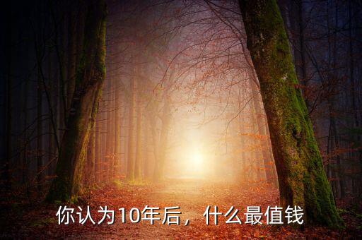 你認(rèn)為10年后，什么最值錢