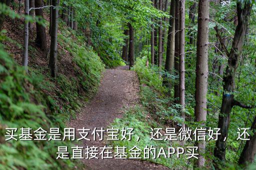 買基金是用支付寶好，還是微信好，還是直接在基金的APP買