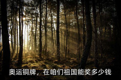 奧運銅牌，在咱們祖國能獎多少錢