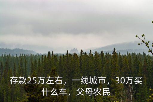 存款25萬左右，一線城市，30萬買什么車，父母農(nóng)民