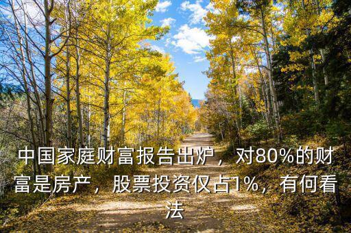 中國家庭財富報告出爐，對80%的財富是房產(chǎn)，股票投資僅占1%，有何看法