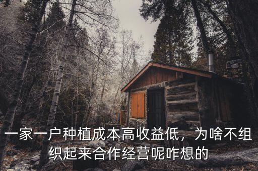 一家一戶種植成本高收益低，為啥不組織起來合作經(jīng)營呢咋想的