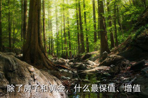 除了房子和黃金，什么最保值、增值