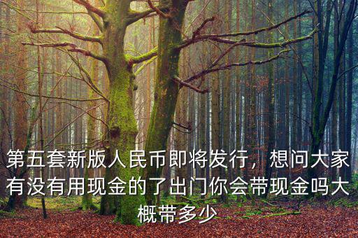 第五套新版人民幣即將發(fā)行，想問(wèn)大家有沒(méi)有用現(xiàn)金的了出門你會(huì)帶現(xiàn)金嗎大概帶多少