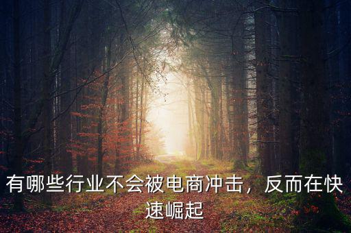 有哪些行業(yè)不會被電商沖擊，反而在快速崛起