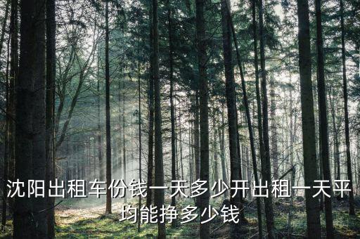 沈陽(yáng)出租車份錢一天多少開(kāi)出租一天平均能掙多少錢