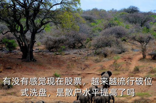 有沒有感覺現(xiàn)在股票，越來越流行破位式洗盤，是散戶水平提高了嗎