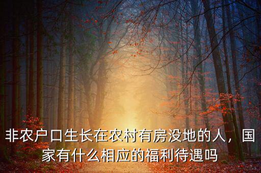 非農(nóng)戶口生長(zhǎng)在農(nóng)村有房沒(méi)地的人，國(guó)家有什么相應(yīng)的福利待遇嗎