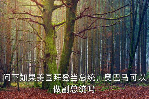問(wèn)下如果美國(guó)拜登當(dāng)總統(tǒng)，奧巴馬可以做副總統(tǒng)嗎