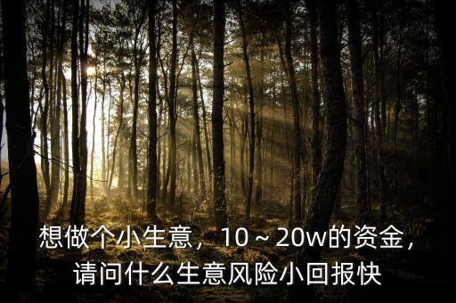 想做個(gè)小生意，10～20w的資金，請(qǐng)問(wèn)什么生意風(fēng)險(xiǎn)小回報(bào)快