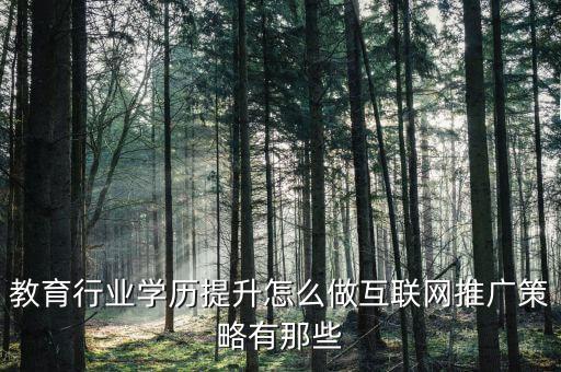教育行業(yè)學歷提升怎么做互聯(lián)網推廣策略有那些