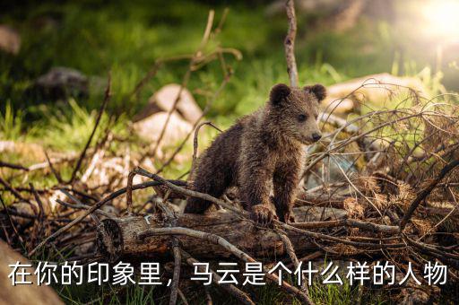 在你的印象里，馬云是個(gè)什么樣的人物