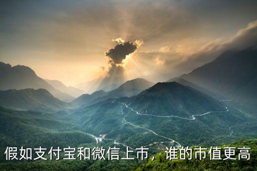 假如支付寶和微信上市，誰的市值更高