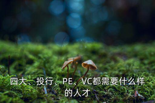 四大、投行、PE、VC都需要什么樣的人才