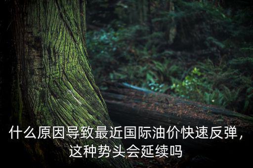 什么原因?qū)е伦罱鼑?guó)際油價(jià)快速反彈，這種勢(shì)頭會(huì)延續(xù)嗎
