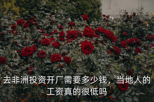 去非洲投資開廠需要多少錢，當(dāng)?shù)厝说墓べY真的很低嗎