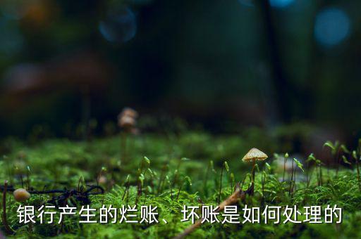銀行產(chǎn)生的爛賬、壞賬是如何處理的