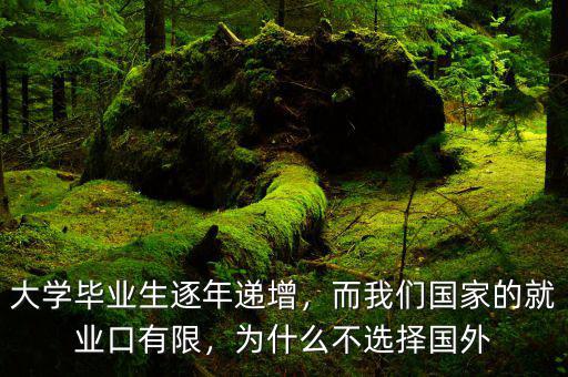 大學畢業(yè)生逐年遞增，而我們國家的就業(yè)口有限，為什么不選擇國外