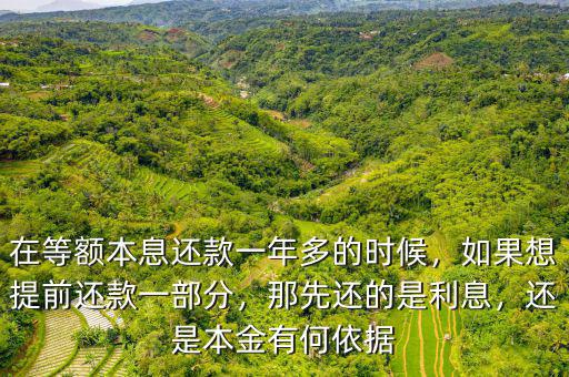 在等額本息還款一年多的時(shí)候，如果想提前還款一部分，那先還的是利息，還是本金有何依據(jù)