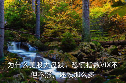 為什么美股大盤跌，恐慌指數(shù)VIX不但不漲，還跌那么多
