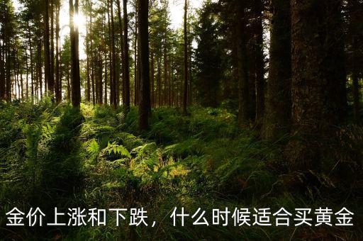 金價上漲和下跌，什么時候適合買黃金