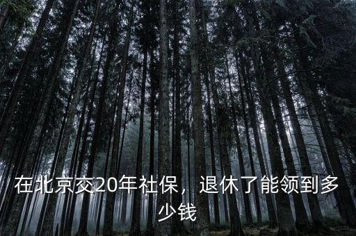 北京養(yǎng)老保險(xiǎn)可以領(lǐng)多少,退休可以拿多少錢(qián)