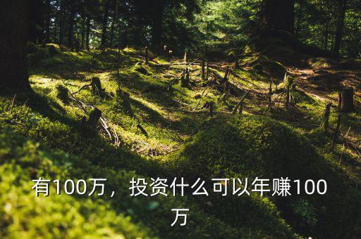有100萬，投資什么可以年賺100萬