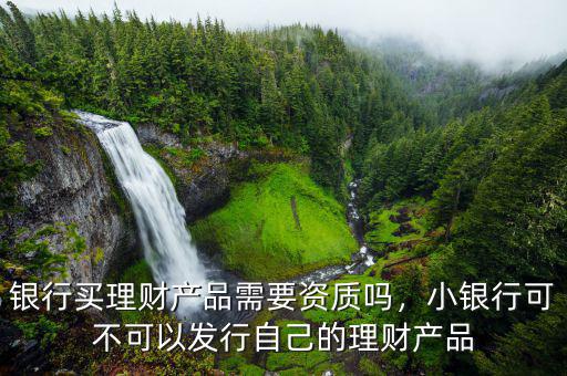 銀行買(mǎi)理財(cái)產(chǎn)品需要資質(zhì)嗎，小銀行可不可以發(fā)行自己的理財(cái)產(chǎn)品