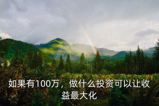 如果有100萬，做什么投資可以讓收益最大化