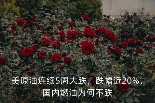 美原油連續(xù)5周大跌，跌幅近20%，國內(nèi)燃油為何不跌