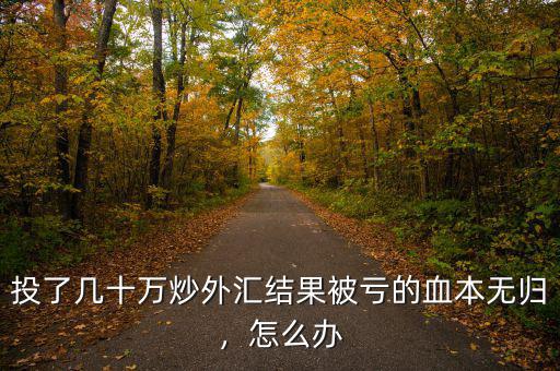 投了幾十萬(wàn)炒外匯結(jié)果被虧的血本無(wú)歸，怎么辦