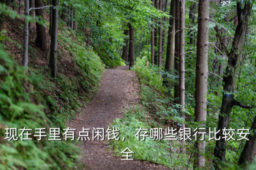 現(xiàn)在手里有點(diǎn)閑錢，存哪些銀行比較安全