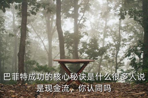 巴菲特成功的核心秘訣是什么很多人說是現(xiàn)金流，你認同嗎