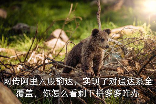 網(wǎng)傳阿里入股韻達(dá)，實(shí)現(xiàn)了對(duì)通達(dá)系全覆蓋，你怎么看剩下拼多多咋辦