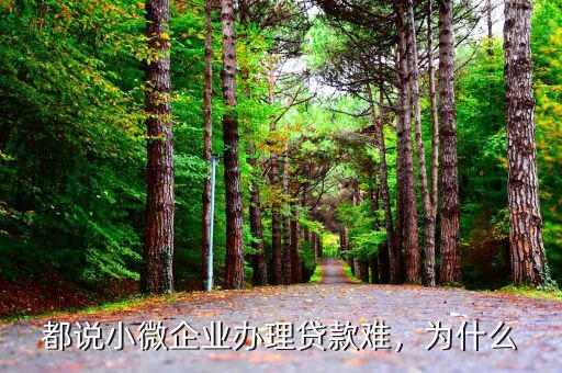 都說小微企業(yè)辦理貸款難，為什么