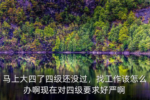 馬上大四了四級還沒過，找工作該怎么辦啊現(xiàn)在對四級要求好嚴(yán)啊