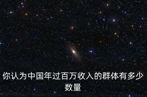 你認為中國年過百萬收入的群體有多少數(shù)量