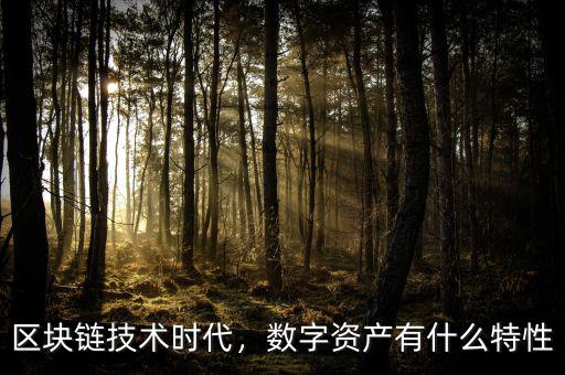 區(qū)塊鏈技術(shù)時(shí)代，數(shù)字資產(chǎn)有什么特性