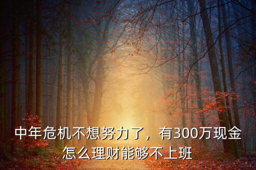 中年危機(jī)不想努力了，有300萬(wàn)現(xiàn)金怎么理財(cái)能夠不上班