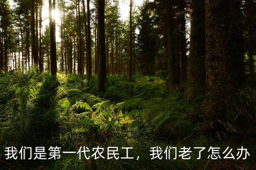我們是第一代農民工，我們老了怎么辦