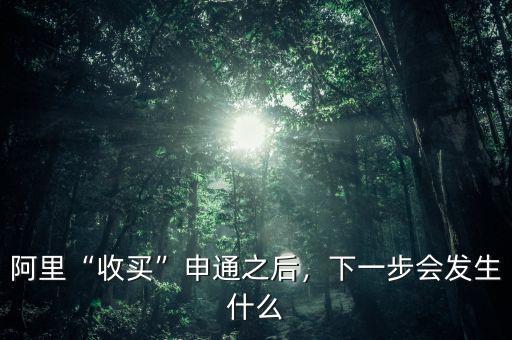 阿里“收買”申通之后，下一步會發(fā)生什么
