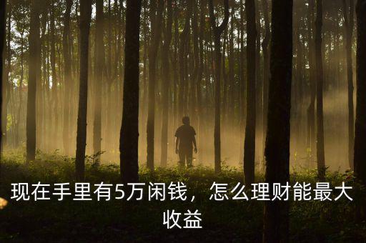 現(xiàn)在手里有5萬閑錢，怎么理財(cái)能最大收益