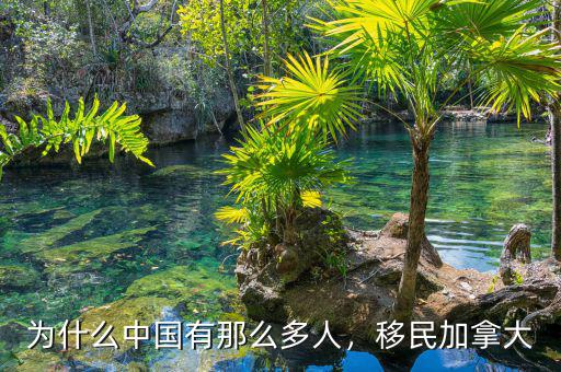 為什么中國(guó)有那么多人，移民加拿大