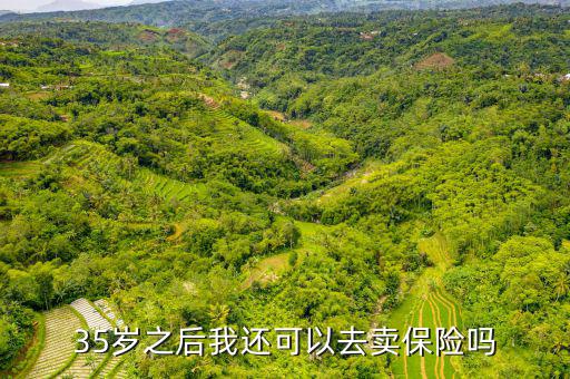 35歲之后我還可以去賣保險(xiǎn)嗎