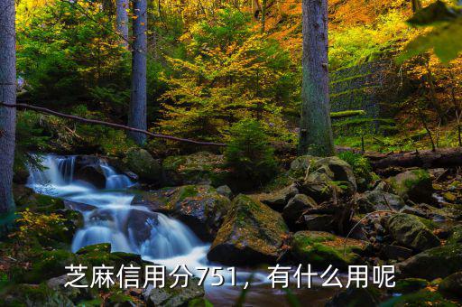 芝麻信用分751，有什么用呢