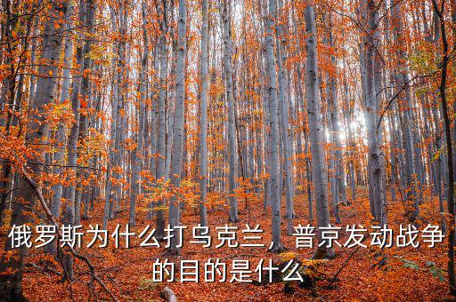 俄羅斯為什么打?yàn)蹩颂m，普京發(fā)動(dòng)戰(zhàn)爭的目的是什么