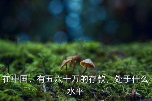 在中國，有五六十萬的存款，處于什么水平