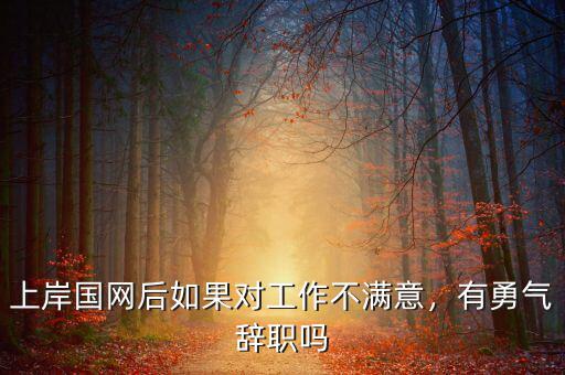 上岸國網后如果對工作不滿意，有勇氣辭職嗎