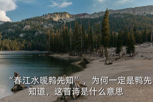 “春江水曖鴨先知”，為何一定是鴨先知道，這首詩是什么意思