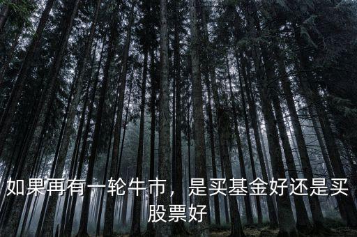如果再有一輪牛市，是買基金好還是買股票好